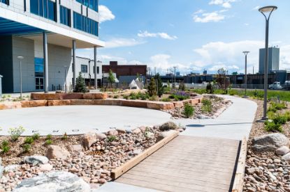 A picture of the CSU Spur Backyard