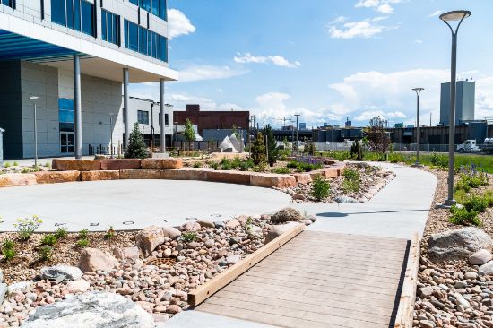 A picture of the CSU Spur Backyard
